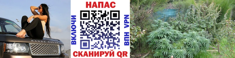 Названия наркотиков Южа Галлюциногенные грибы APVP Амфетамин МЕФ ГАШИШ