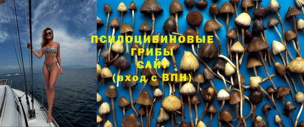 марки lsd Новокубанск