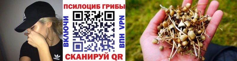Галлюциногенные грибы ЛСД  Южа 